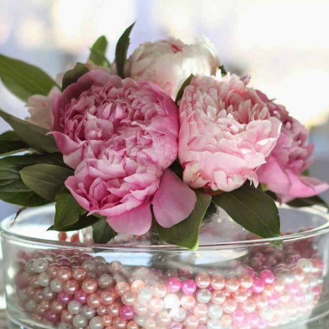 Azur Roses producteur fleurs décoration mariage La Crau Toulon Var