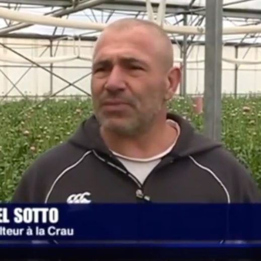 reportage tv Azur Roses producteur renoncules la crau toulon var