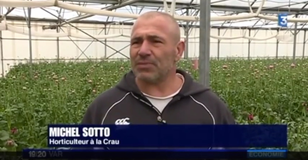 reportage tv Azur Roses producteur renoncules la crau toulon var