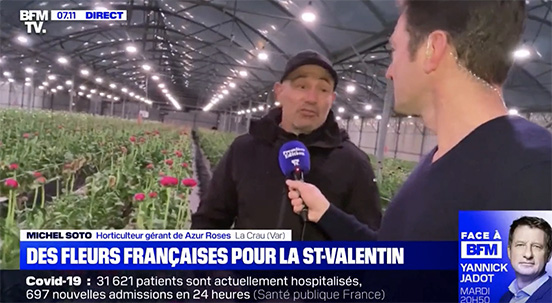 BFM TV direct renoncules chez Azur roses producteur fleur fraiche dans le Var