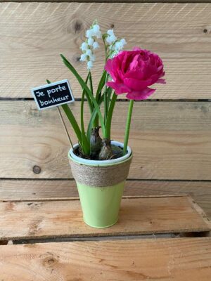brin de muguet pivoine rose Azur Roses producteur fleur Var