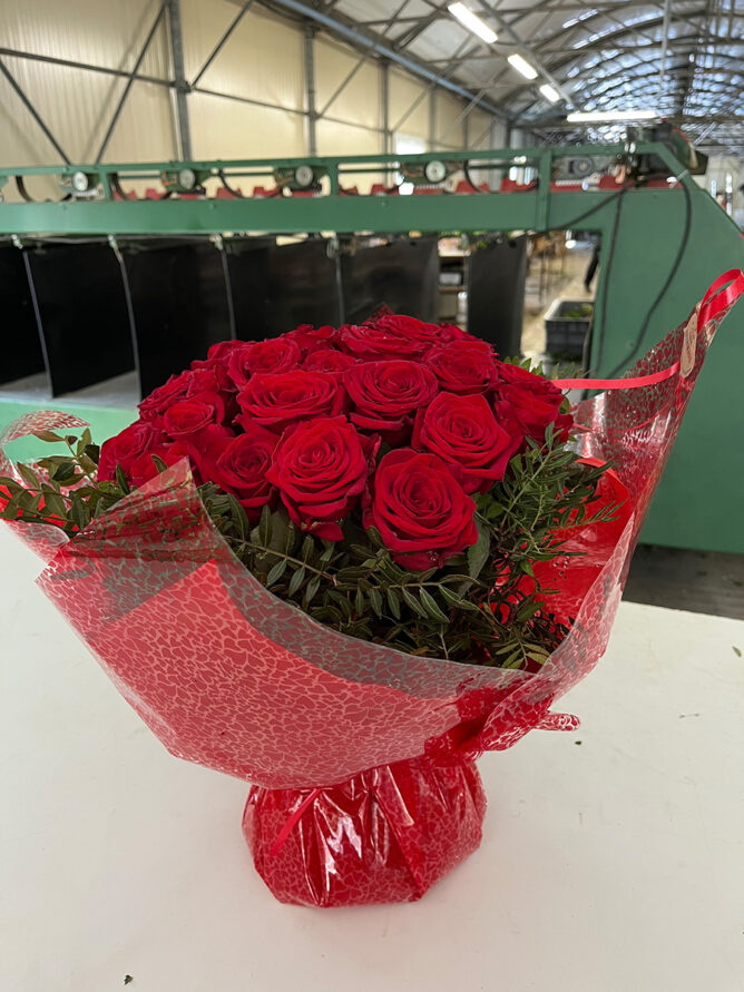 bouquet bulle Azur Roses-BU008