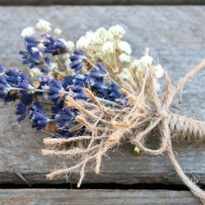 composition fleurs mariages Azur Roses producteur à la La Crau Var