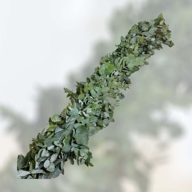 composition fleurs mariages Azur Roses producteur à la La Crau Var