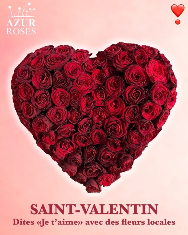roses Saint Valentin par Azur Roses producteur La Crau Var
