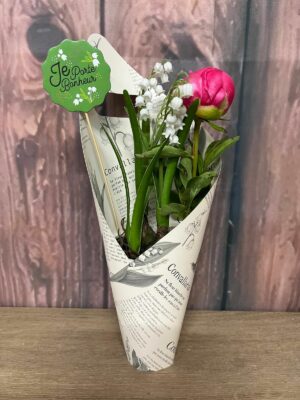 vente muguet la Crau pot 2 griffes 1 pivoine muguet 1er mai Azur Roses Producteur Var