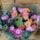 bouquet de fleurs fête des mères 2026 vente directe GAEC Azur Roses producteur Var